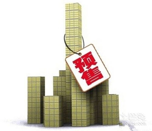 金水房產律師 口碑好能力強的專業法律保障